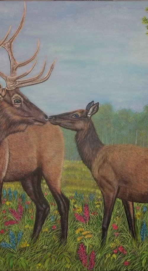 Elk kiss by Sofya Mikeworth