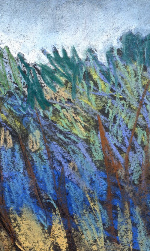 The Bluebell Wood by Elizabeth Anne Fox
