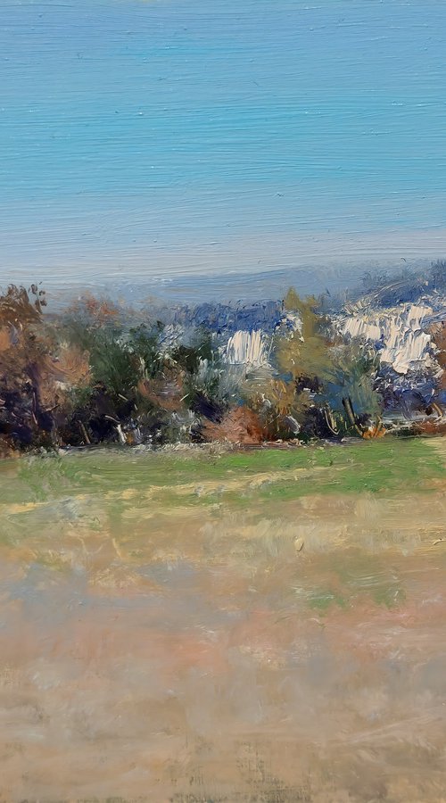 Iscles meadow by Pascal Giroud