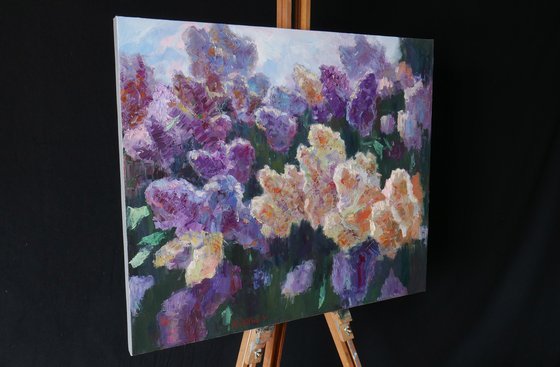 Sunny Lilac Branches