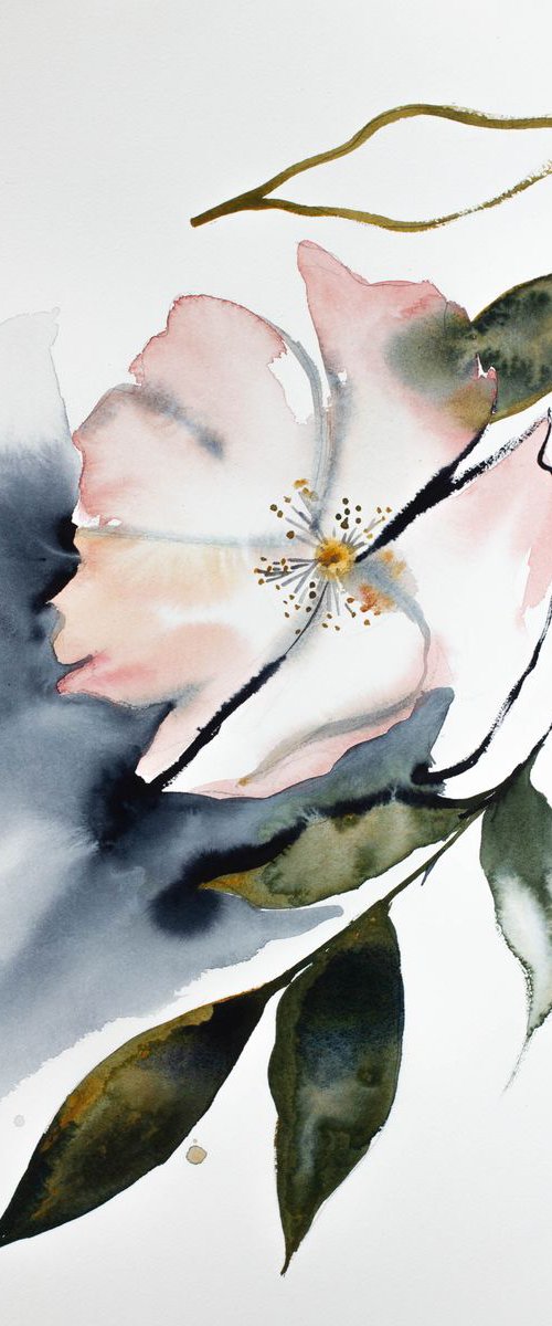Cherry Blossom No. 12 by Elizabeth Becker