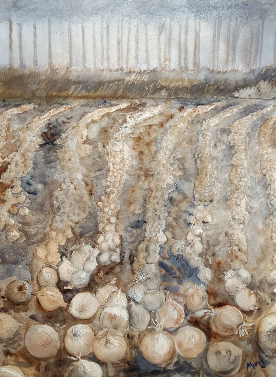 Impressionistic Landscape Watercolour By Morag Paul, 28 X 35", Onion Field, Original Artwork