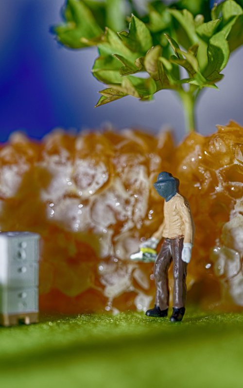Sweet Honey Harvest by Marc Ehrenbold