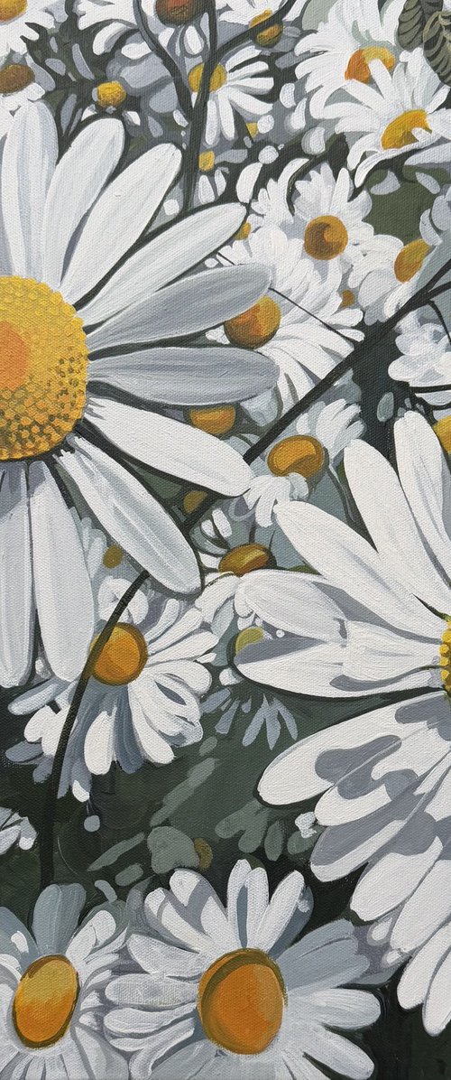 Bright Daisies by Joseph Lynch