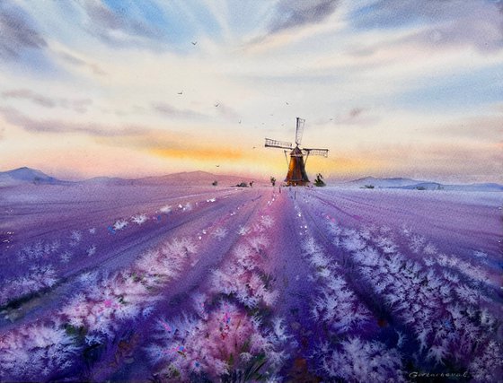 Whispers of Provence