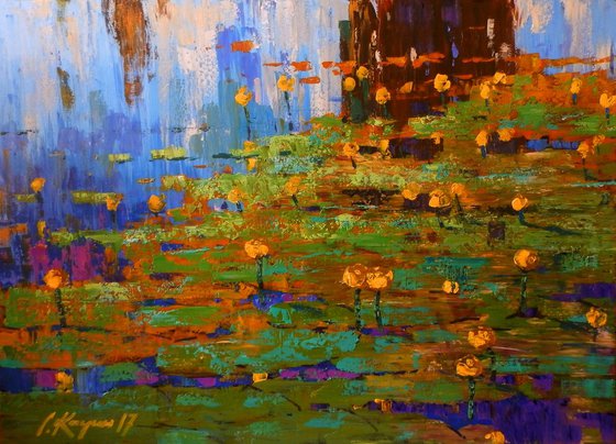 yellow water lilies