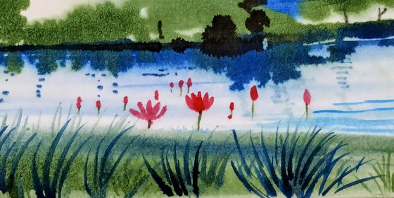 Water lily  landscape