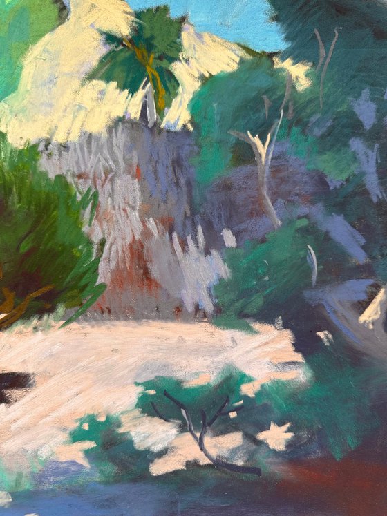 Orange Tree