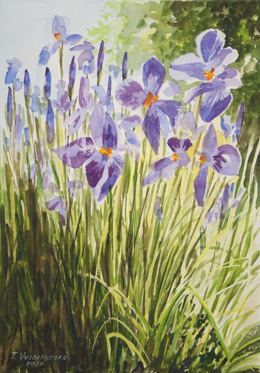 Irises By Tetiana Vysochynska, 10 X 14, Artwork For Sale On Artfinder