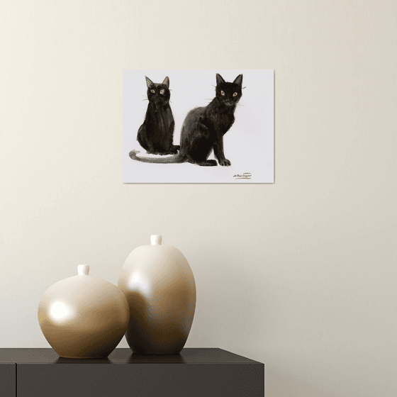 Two Black cats