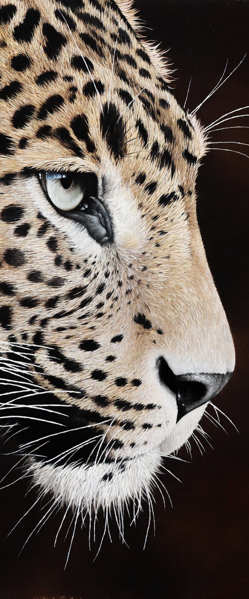 TRESOR by Milie Lairie