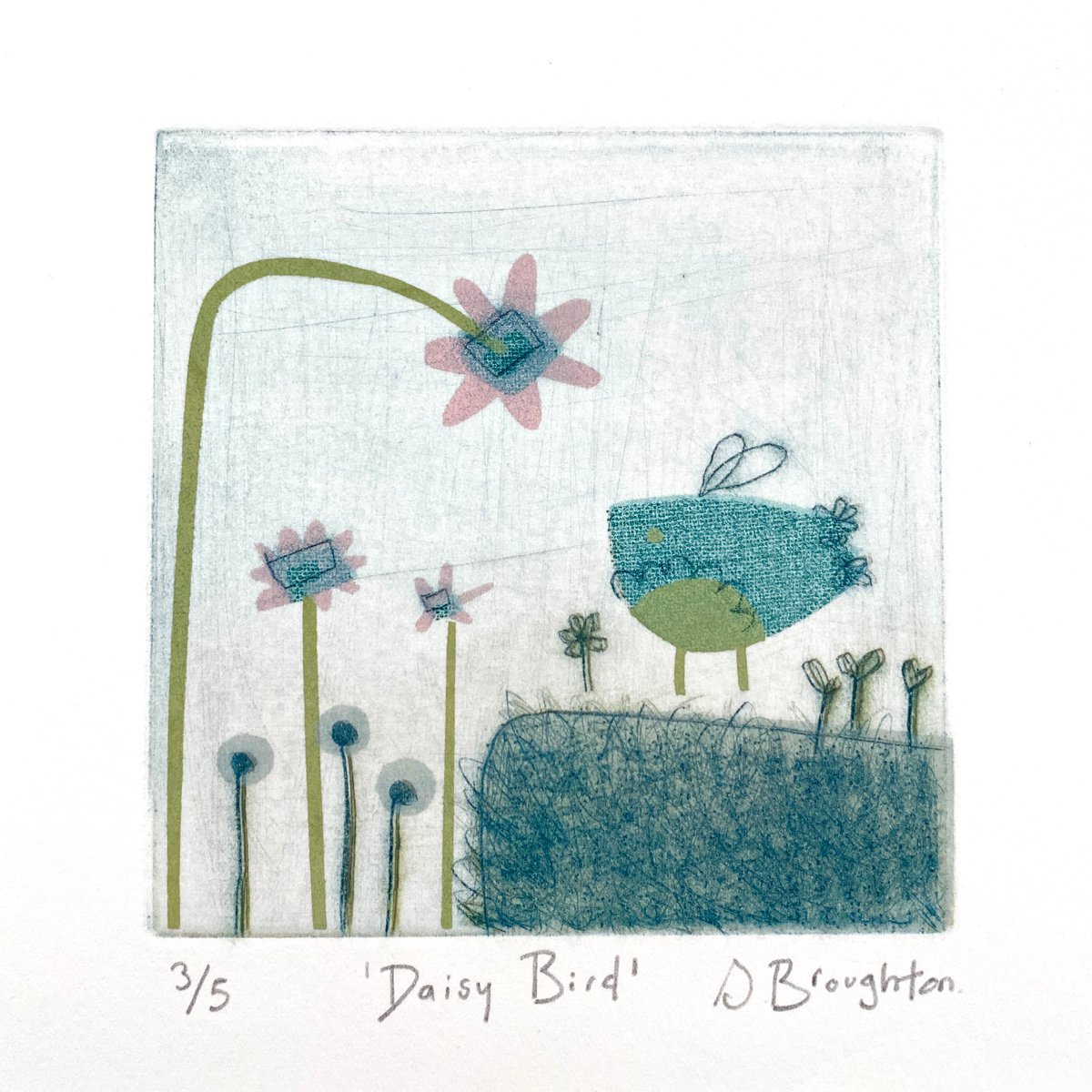 Daisy Bird by Sarah Broughton