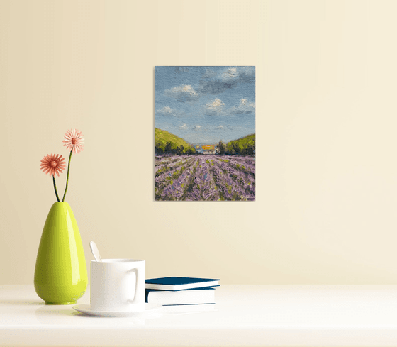 Impression. Lavender fields