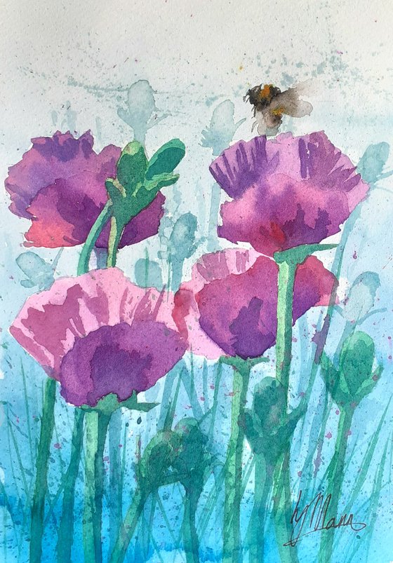 Oriental Poppies and Bee