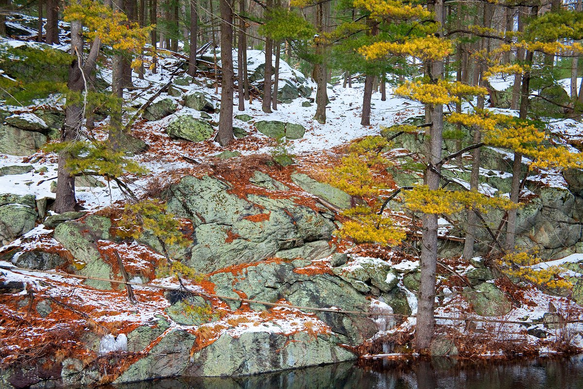 Photorealistic Landscape Photograph By Michael Filonow, 32 X 22", Harriman 22, Original Artwork