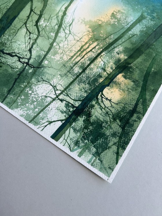Landscape