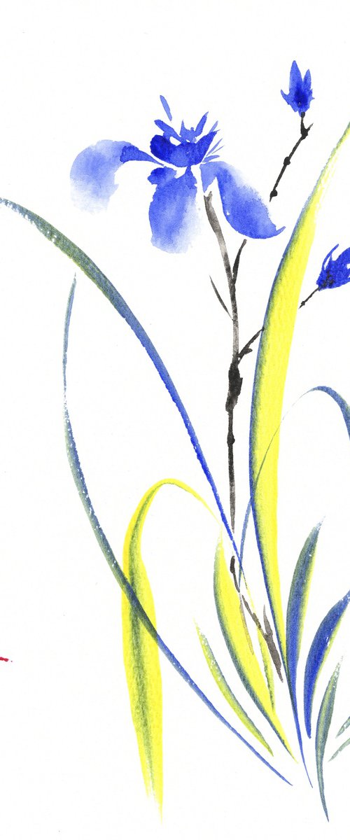 Whispering Blue Iris by Hai Doan