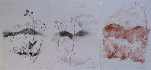Three Mountain sketches, 21x29 cm - affordable & AF exclusive ! by Frederic Belaubre