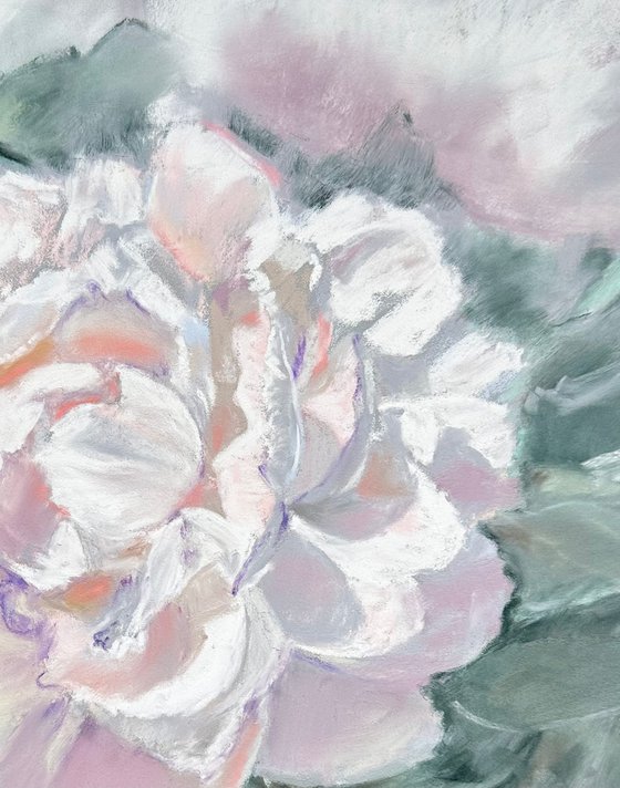 Floral: White Peony