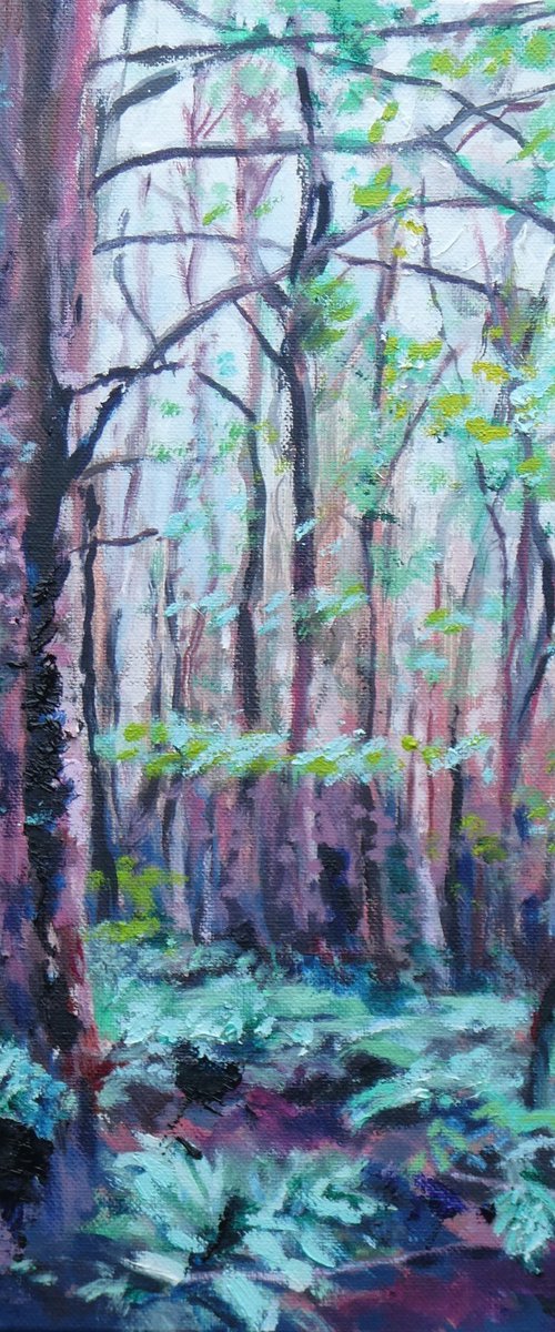 Walk in the woods 1 by Paul McKee