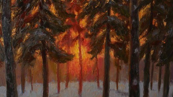 Sunset In The Pine Forest - sunny winter painting