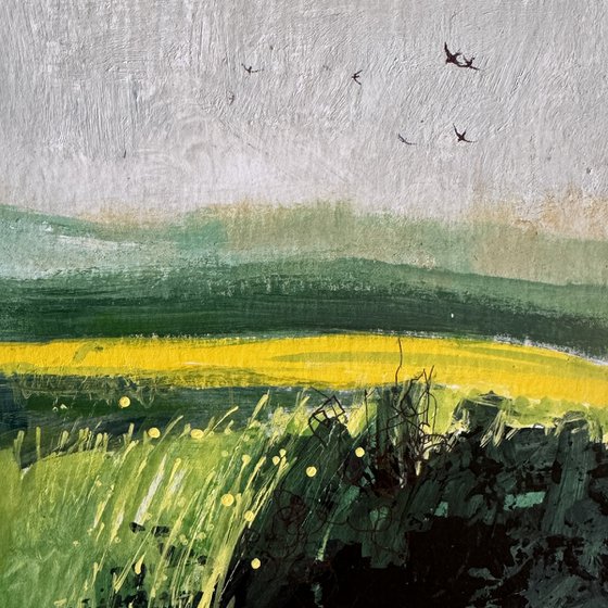 Tranquil Fields