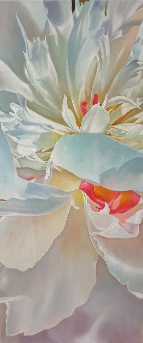 "Delicate petals. "   peonies flower 2021 by Anna Bessonova (Kotelnik)