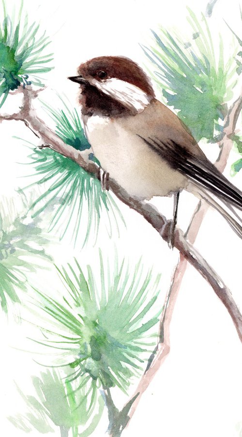 Chestnut-backed Chickadee by Suren Nersisyan