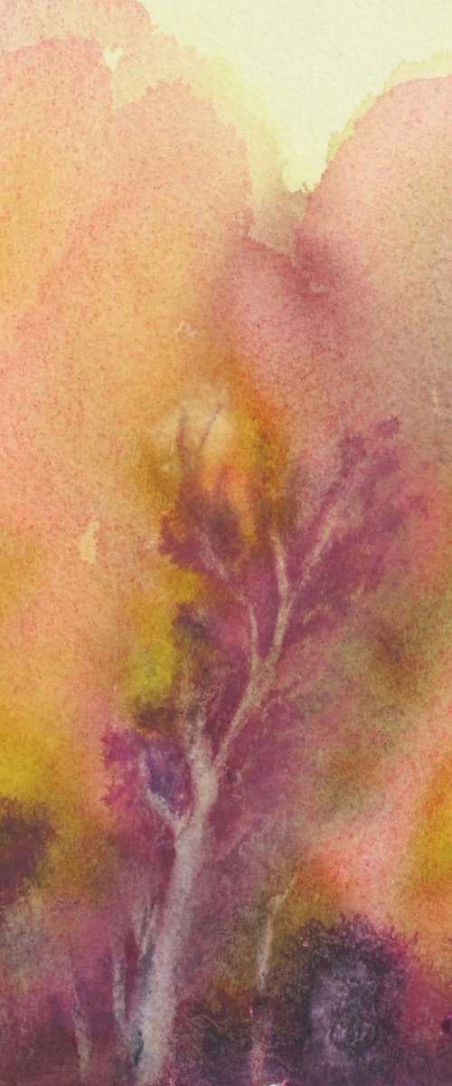 Pink winter by Fabienne Monestier