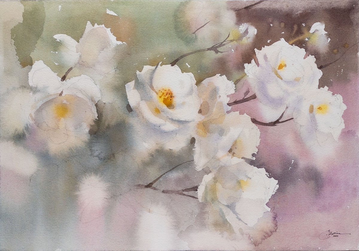 White roses by Ekaterina Pytina