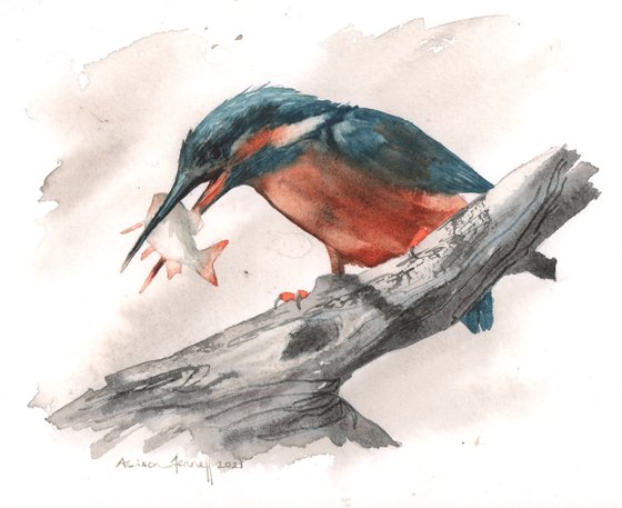 Watercolour Kingfisher - original painting