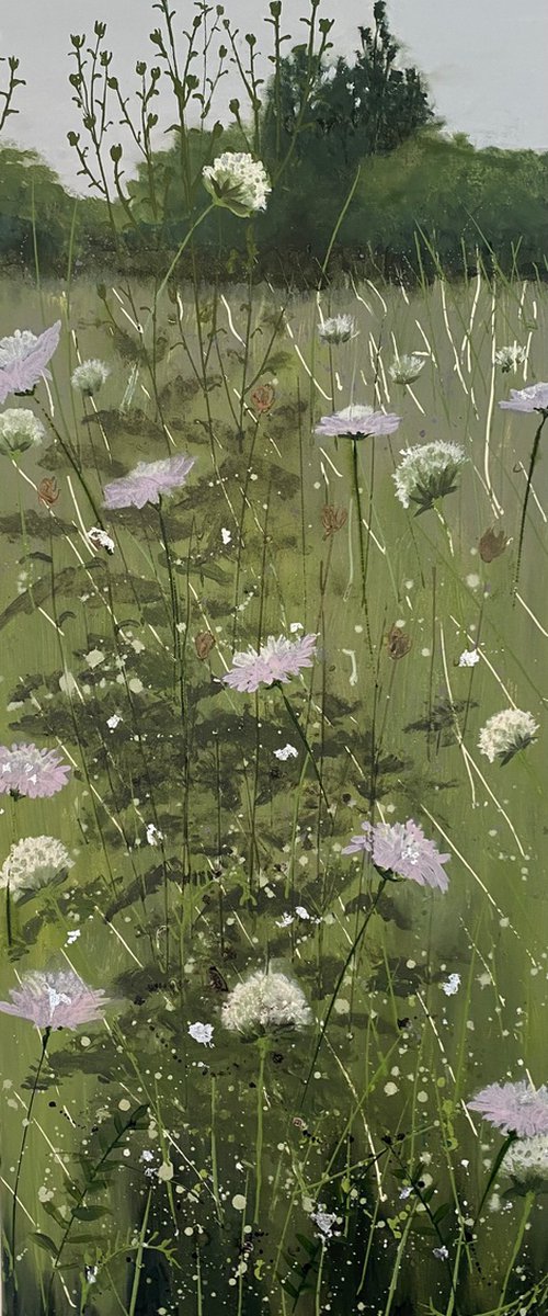 Wild Scabious Meadow by Elizabeth Westcott
