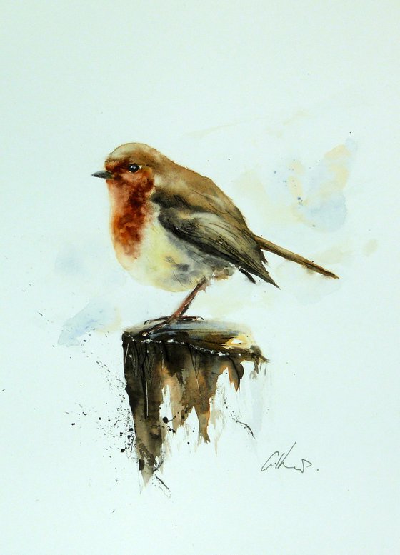 A Robin. Original watercolour painting.