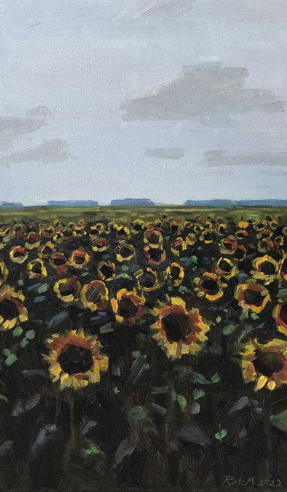 Sunflowers of Ukraine