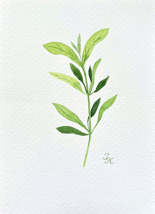 Green branch #1 by Tetiana Kovalova