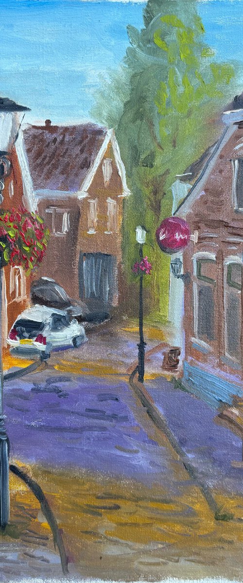 Hoofdstraat in Dalen by Dmitry Fedorov