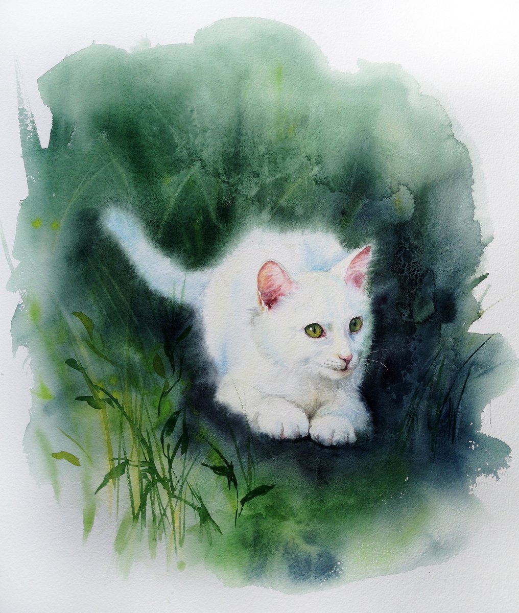 White kitten sitting in the grass - White Cat - watercolor kitten by Olga Beliaeva Watercolour
