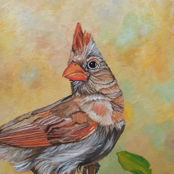 Female Cardinal Portrait