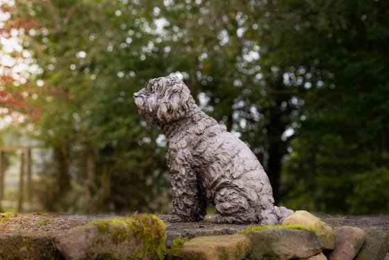 Cavapoo Foundry Bronze Sculpt