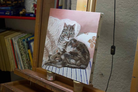 Resting on a bed, portrait of a grey cat