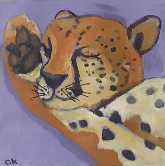 Snooze