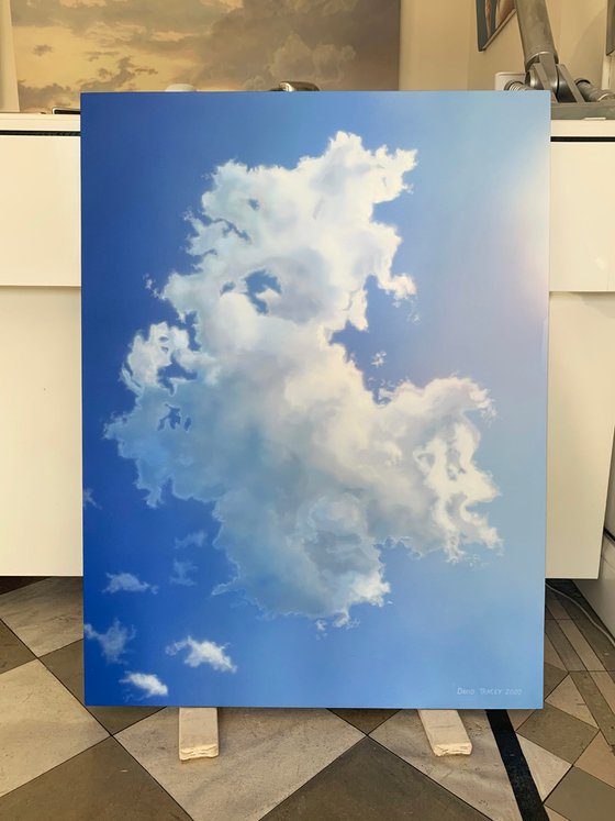 Portrait of a Cloud (86 x 114cm)