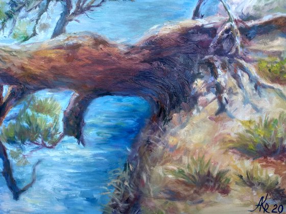 Pine tree, seascape oil painting