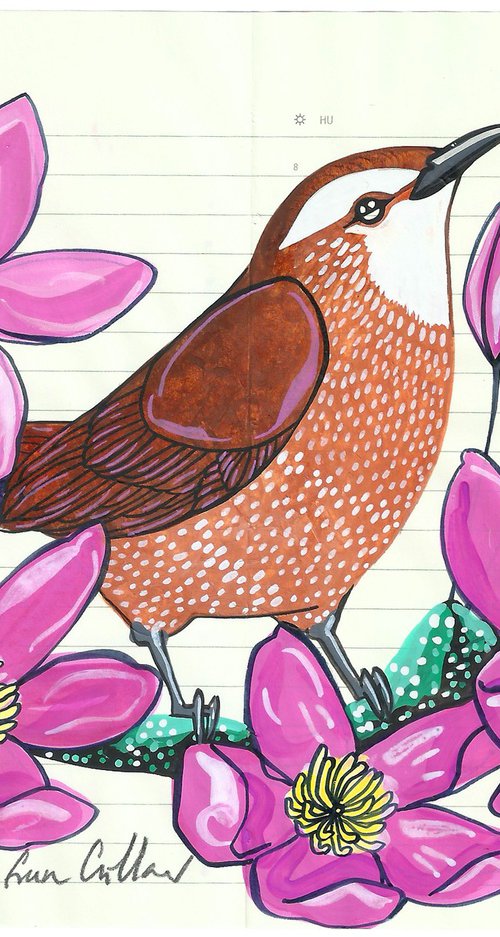 Birds of Europe: Wren by Fran Giffard