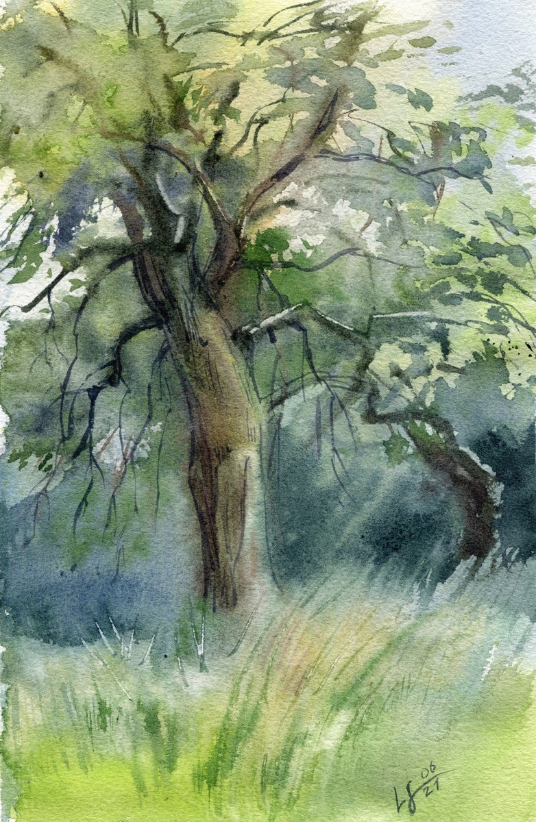 Watercolor landscape with an old tree by SVITLANA LAGUTINA