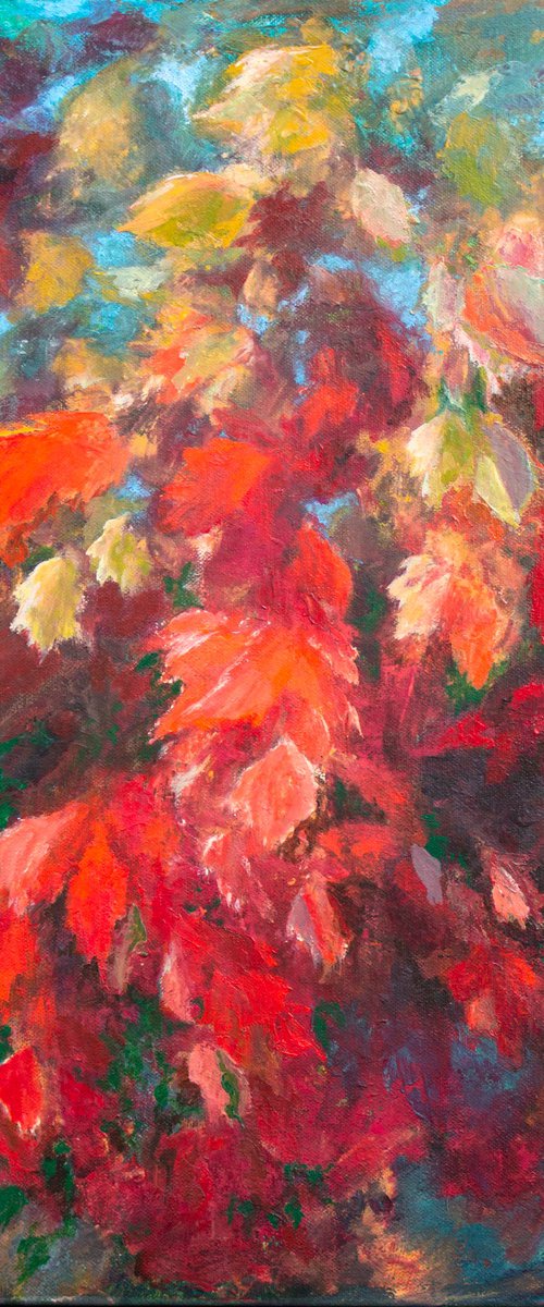 Red autumn leaves by Mila Moroko