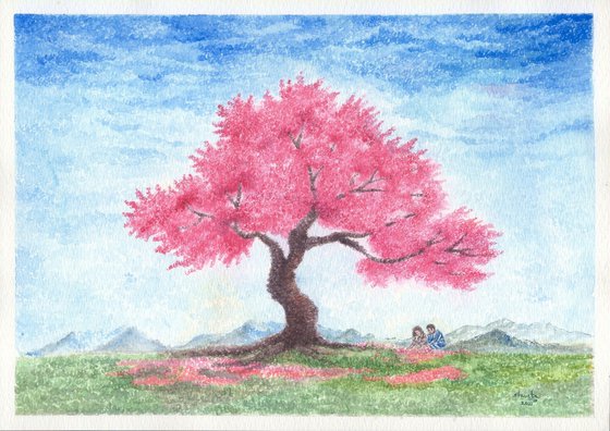 Japanese Sakura Tree