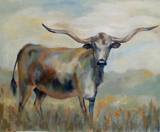 Longhorn Cow