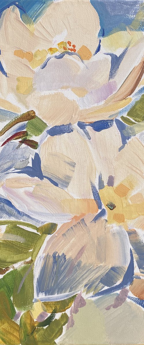 Magnolia Harmony by Ariela Stem