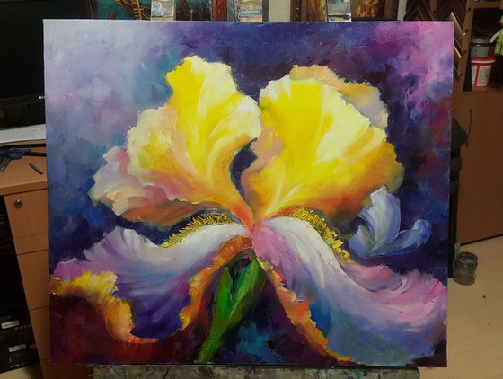 Oil flowers Painting " Iris " , impasto original art 70x60cm